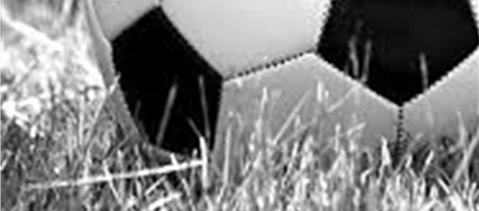 C33 – François Tardif